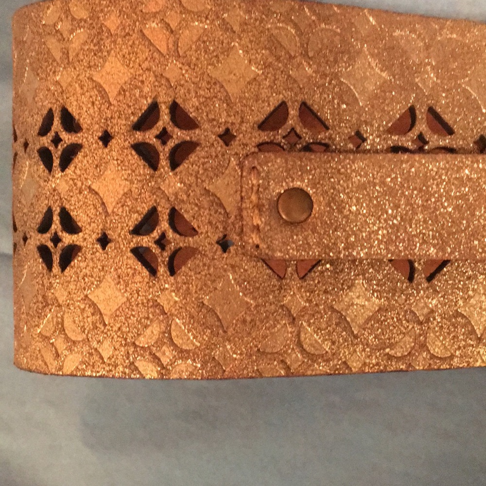 Beautiful Fossil Gold Color Embossed Leather Belt - image 3